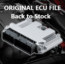 Original Ecu File for CAR